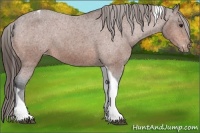 Horse Color:Bay Tobiano Varnish 