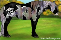Horse Color:Nacre Black Sabino Splash Tobiano Varnish 