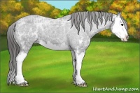 Horse Color:Black Ice Sabino Splash Varnish 