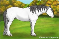 Horse Color:White Spotted Black Ice Sabino Splash Near Fewspot