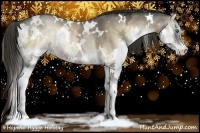 Horse Color:White Spotted Liver Red Onyx Ice Splash Rabicano 