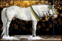 Horse Color:Liver Chestnut Ice Sabino Splash Tobiano Rabicano