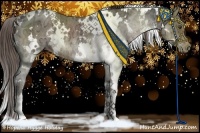 Horse Color:White Spotted Liver Chestnut Ice Rabicano
