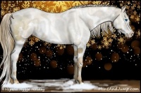 Horse Color:White Spotted Liver Chestnut Pearl Splash 