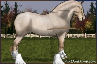 Horse Color:Liver Red Roan Pearl 