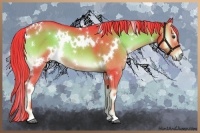 Horse Color:Watercolor White Spotted Liver Red Onyx Rabicano 