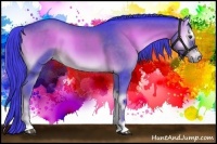 Horse Color:Watercolor Liver Red Onyx Sabino