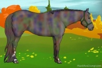 Horse Color:Nacre Liver Chestnut Sabino 