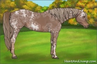 Horse Color:Chestnut Ice 