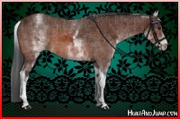 Horse Color:White Spotted Bay Tobiano 