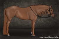 Horse Color:Chestnut Rabicano
