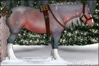 Horse Color:Watercolor Silver Brown 