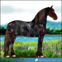 Horse Color:ERROR: UNKNOWN ANOMALY