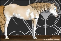 Horse Color:Chestnut Pearl Splash 