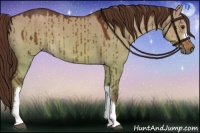 Horse Color:Liver Red Dun 