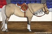 Horse Color:Silver Buckskin Roan Dun Rabicano