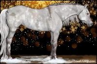 Horse Color:White Spotted Chocolate Silver Grullo Chinchilla Ice Sabino