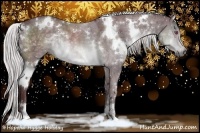 Horse Color:White Spotted Chocolate Silver Brown Chinchilla