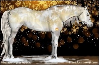 Horse Color:White Spotted Chocolate Silver Smoky Grullo Chinchilla Onyx