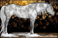 Horse Color:White Spotted Silver Grullo Chinchilla Ice 