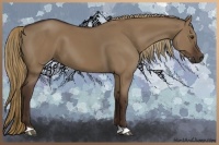 Horse Color:Liver Red Dun