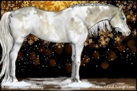 Horse Color:White Spotted Chocolate Palomino Ice Splash Rabicano 