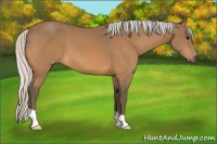 Horse Color:Silver Buckskin 