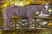 Horse Color:ERROR: UNKNOWN ANOMALY