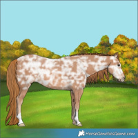 Horse Color:Chestnut Ice 
