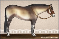 Horse Color:Brown Onyx Rabicano 