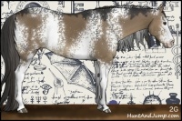 Horse Color:White Spotted Liver Red Dun Rabicano 