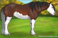 Horse Color:Brown Splash 