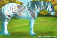 Horse Color:Thunderstruck Blue Onyx Roan Tobiano Blanket 