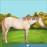 Horse Color:Amber Champagne Pearl 