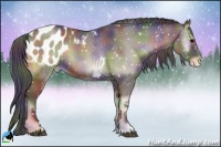 Horse Color:Nacre Blue Onyx Appaloosa Rabicano 