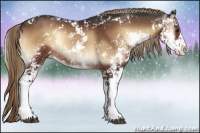 Horse Color:Liver Red Onyx Sabino Rabicano 