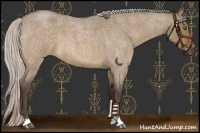 Horse Color:Silver Brown Roan Dun