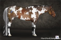 Horse Color:White Spotted Buckskin 