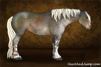 Horse Color:White Spotted Liver Chestnut Sabino 