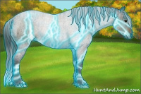 Horse Color:Gray Thunderstruck Buckskin Ice Varnish Rabicano 