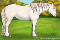 Horse Color:Smoky Creme Varnish 