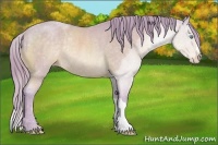 Horse Color:Watercolor Perlino Appaloosa Rabicano 