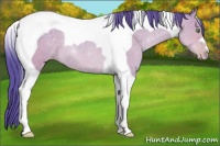 Horse Color:Watercolor Sable Cream Champagne Tobiano 