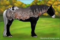 Horse Color:Brown Ice Sabino Splash Varnish Rabicano 