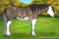 Horse Color:Brown Ice Dun Splash
