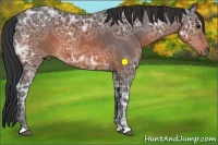 Horse Color:Brown Ice 