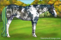 Horse Color:Painted Watercolor White Spotted Blue Onyx Ice 