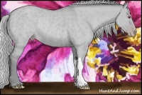 Horse Color:Silver Classic Champagne Chinchilla Dun Rabicano
