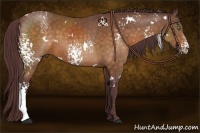 Horse Color:White Spotted Chocolate Buckskin Rabicano 
