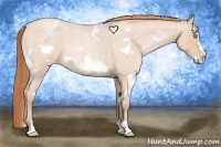 Horse Color:White Spotted Buckskin Roan Pearl Frame